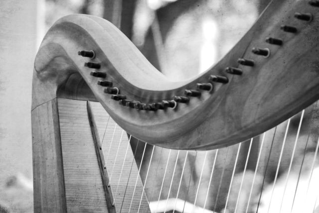harp3