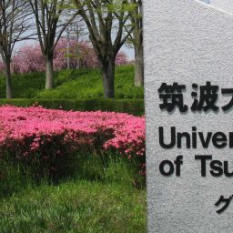 Univerzitet u Tsukuba