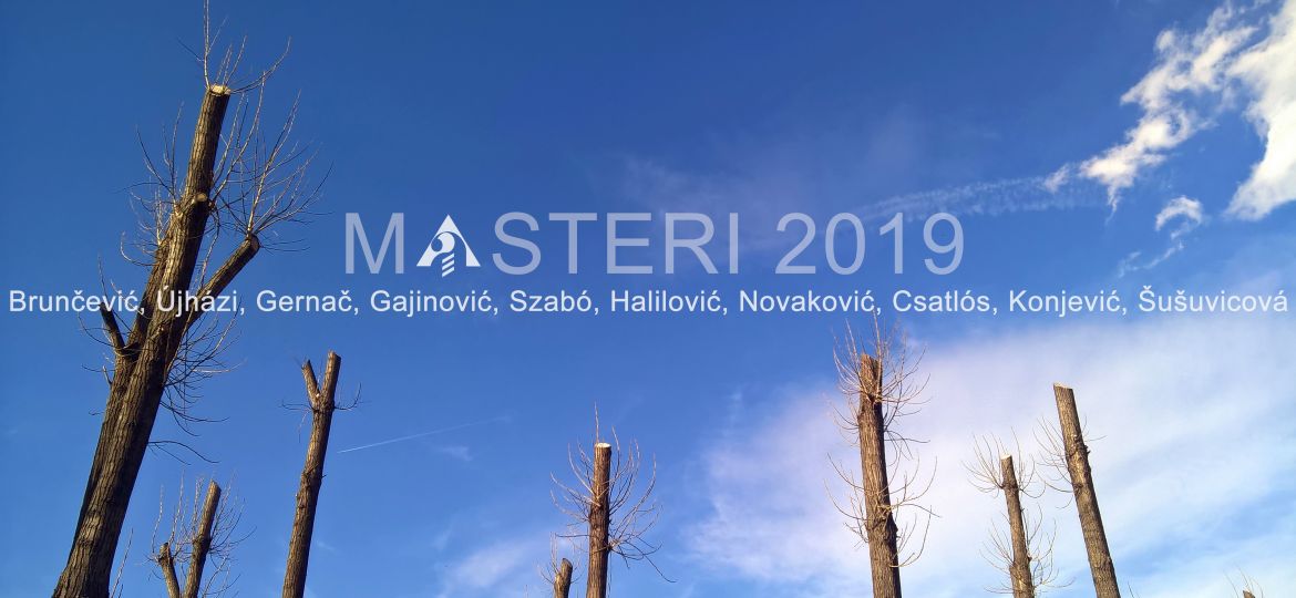 Masteri slikari 2019