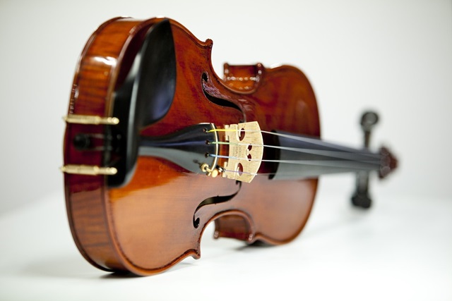 Violina 1