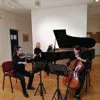 koncert kamerne muzike