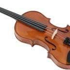 violina